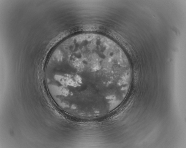 X0000112350721200909031848