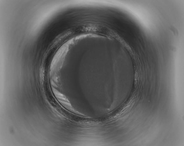 X0000112350722200909031848