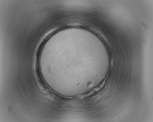 X0000112350724200909031848