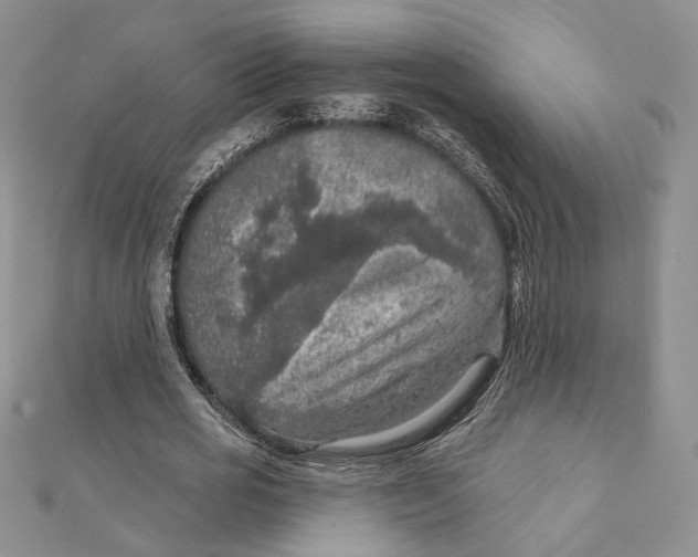 X0000112350725200909031848