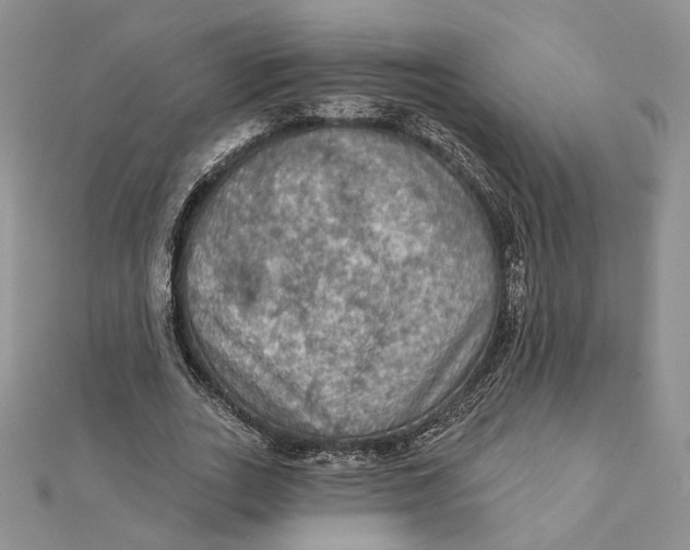 X0000112350727200909031848