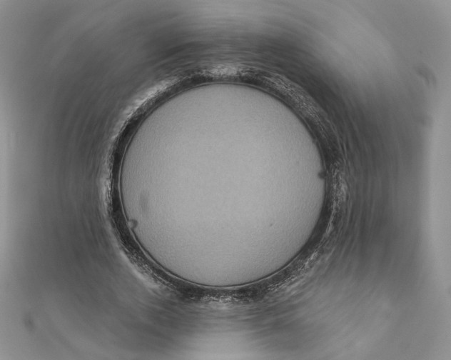 X0000112350728200909031848