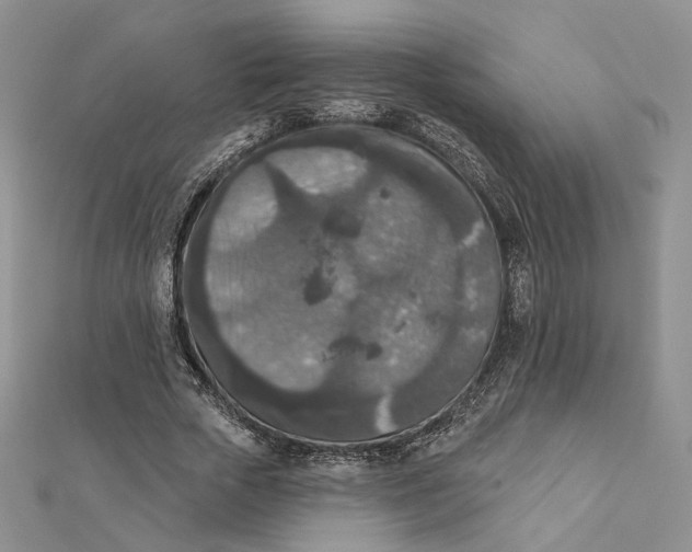 X0000112350729200909031848