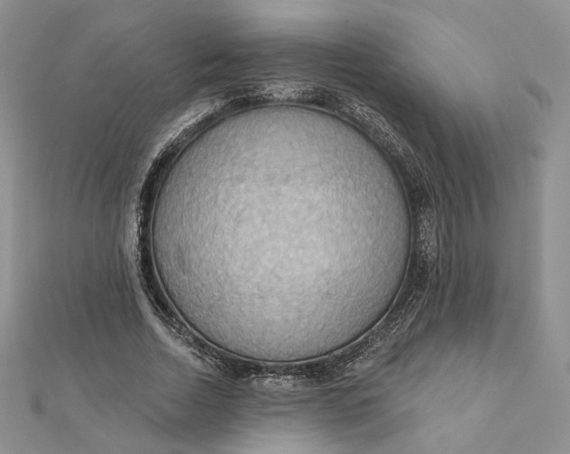 X0000112350730200909031848