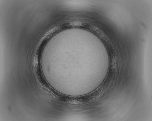 X0000112350731200909031848