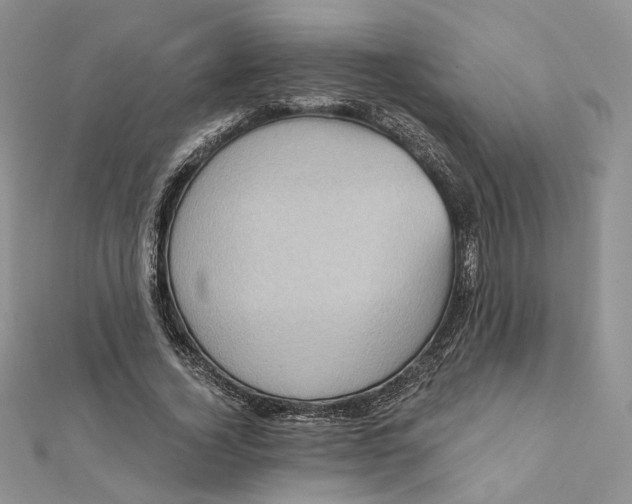 X0000112350732200909031848