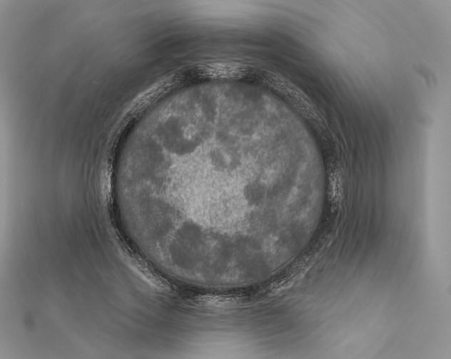 X0000112350733200909031848