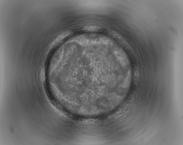 X0000112350734200909031848