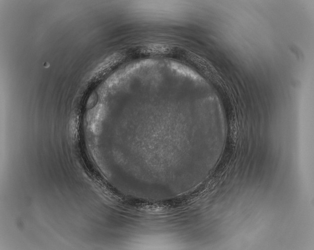 X0000112350735200909031848