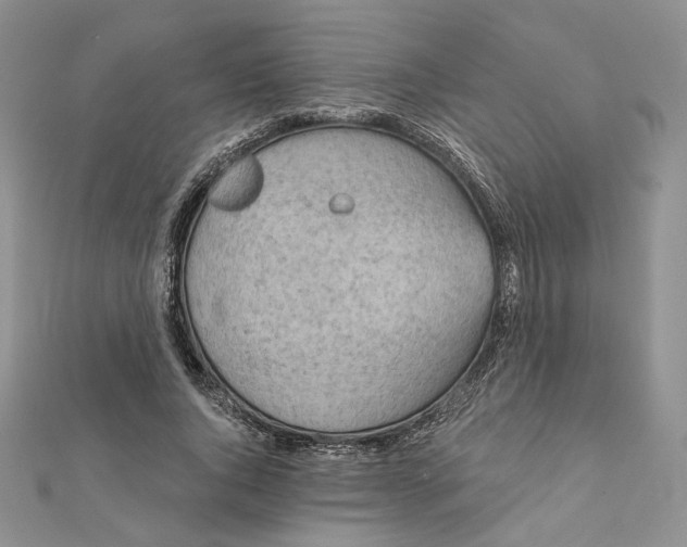 X0000112350736200909031848