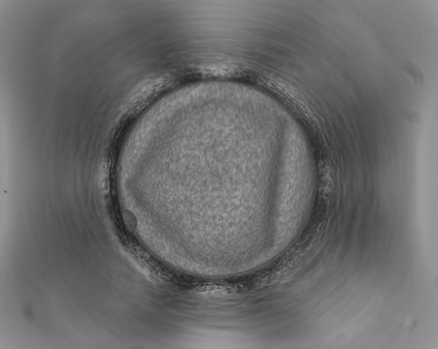 X0000112350738200909031849