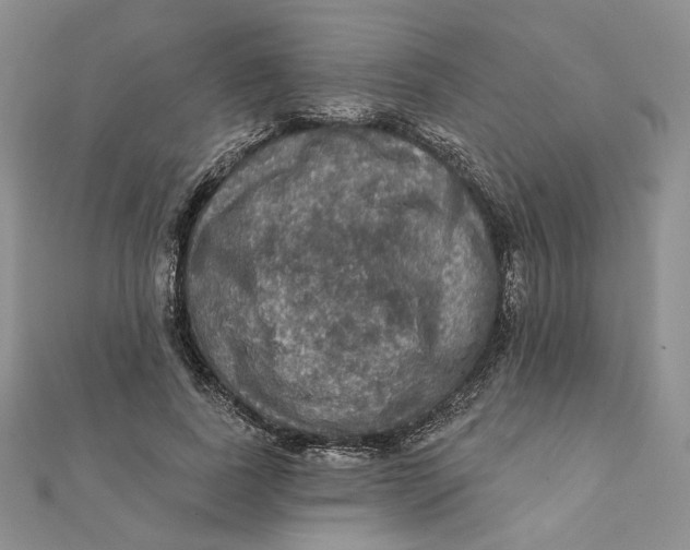 X0000112350739200909031849