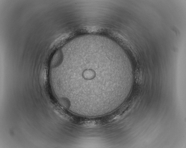 X0000112350740200909031849