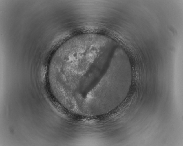 X0000112350742200909031849