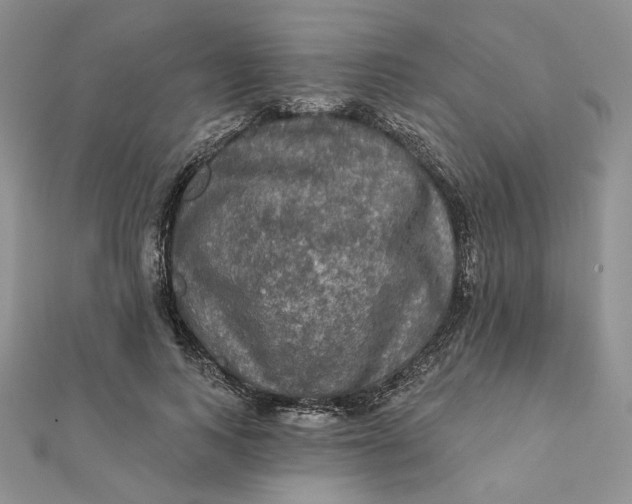 X0000112350743200909031849