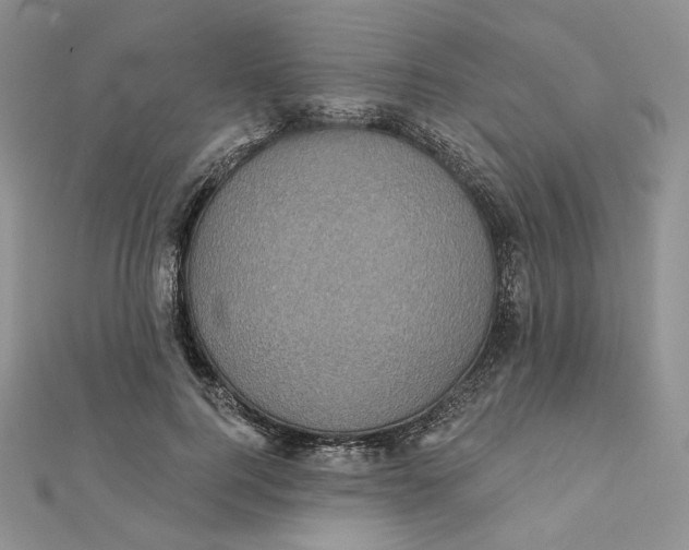 X0000112350744200909031849