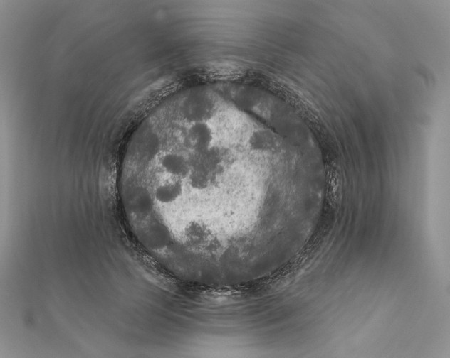 X0000112350745200909031849