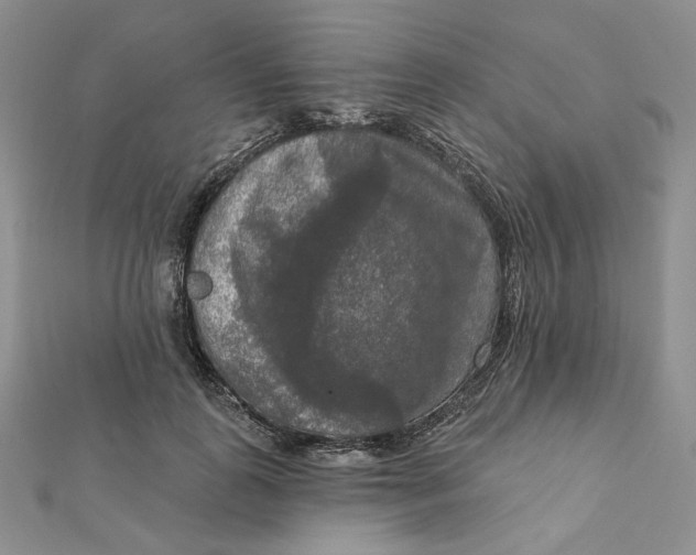 X0000112350747200909031849