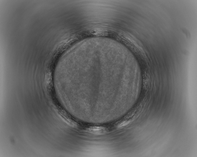 X0000112350748200909031849