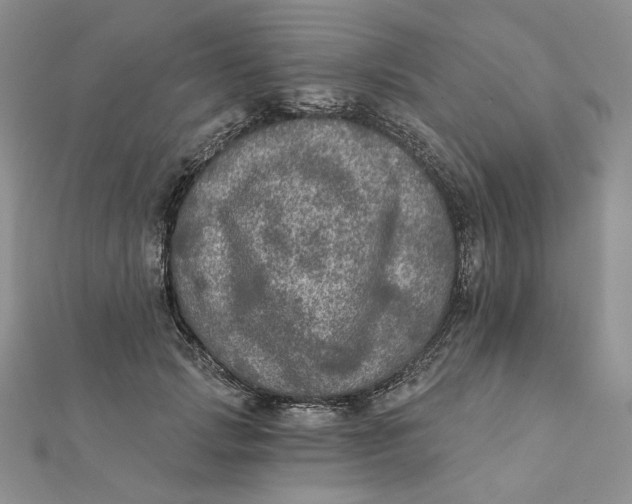 X0000112350749200909031849