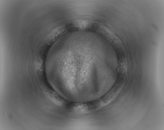 X0000112350750200909031849