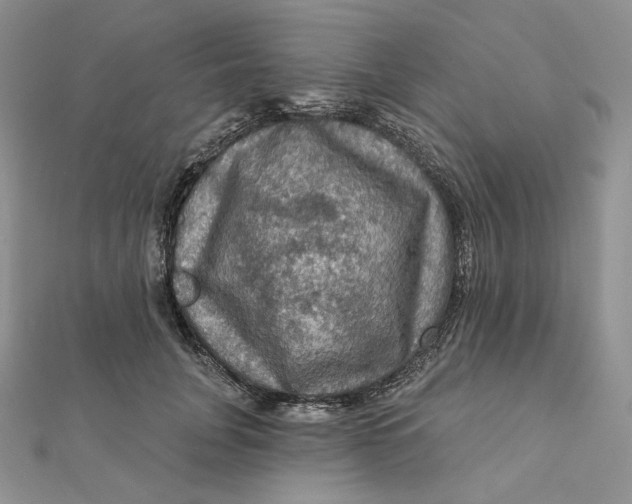 X0000112350751200909031849