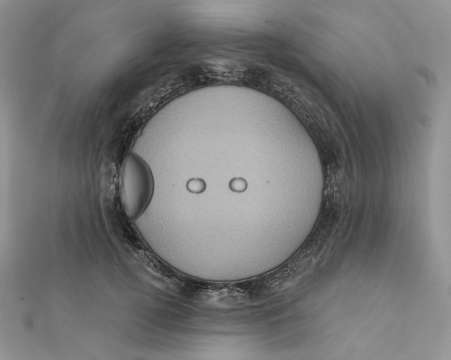 X0000112350752200909031849