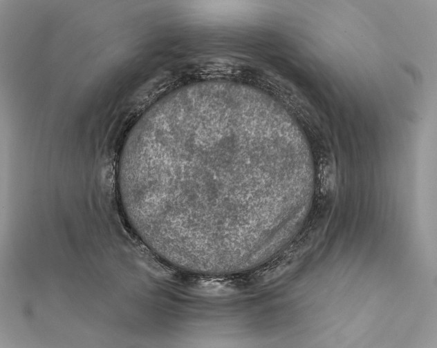 X0000112350753200909031849