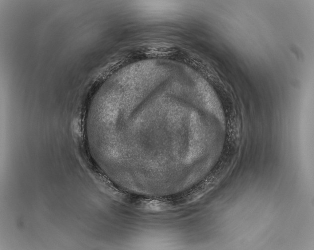 X0000112350755200909031849