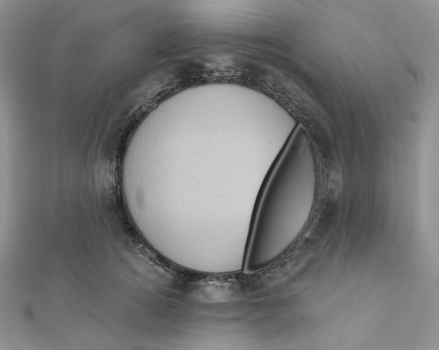 X0000112350756200909031849