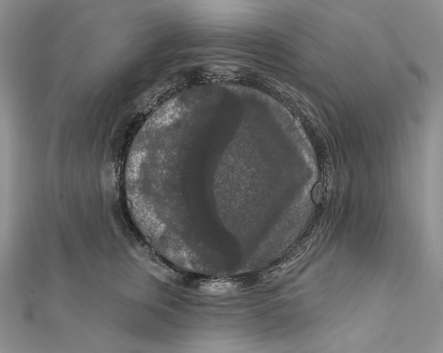 X0000112350759200909031849