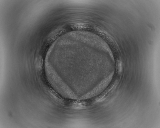 X0000112350760200909031849