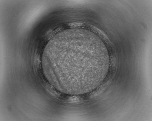 X0000112350761200909031849