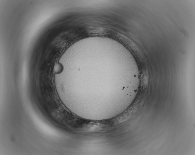 X0000112350764200909031849