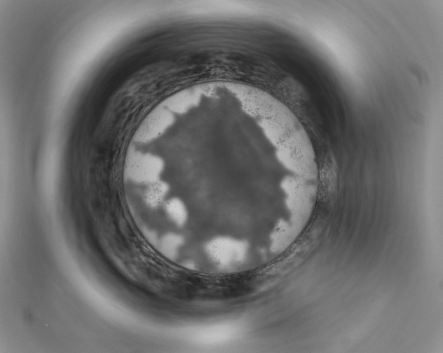 X0000112350765200909031849