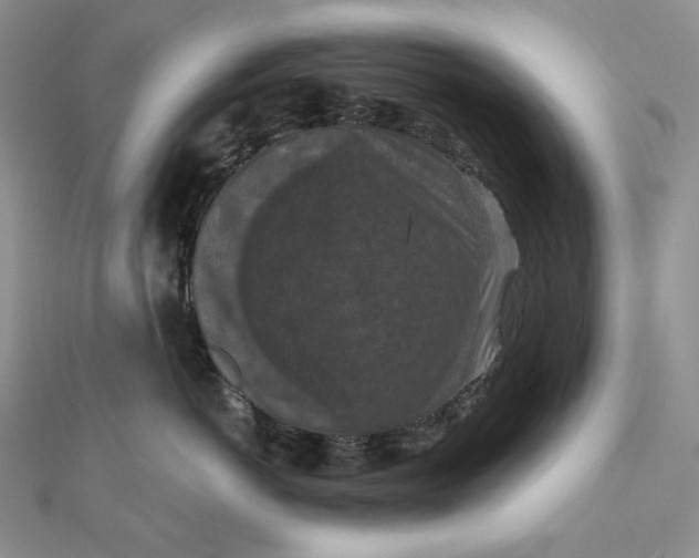 X0000112350766200909031849