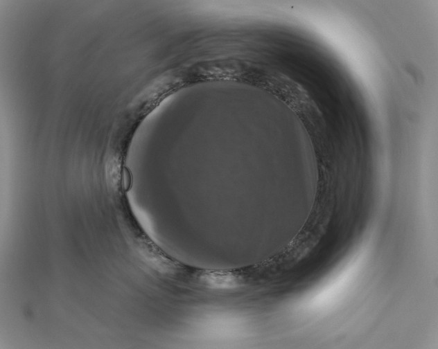 X0000112350767200909031849