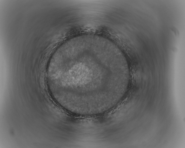 X0000112350769200909031848