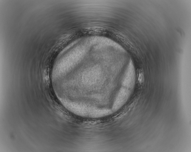 X0000112350771200909031848