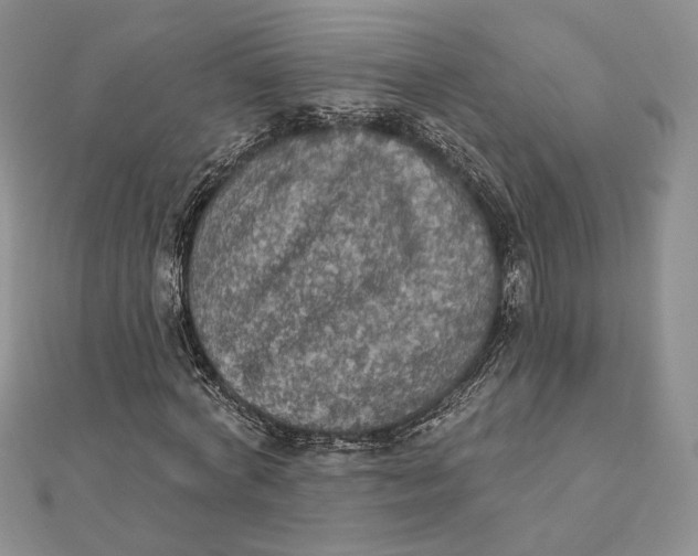 X0000112350772200909031848