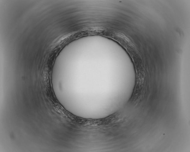 X0000112350773200909031848