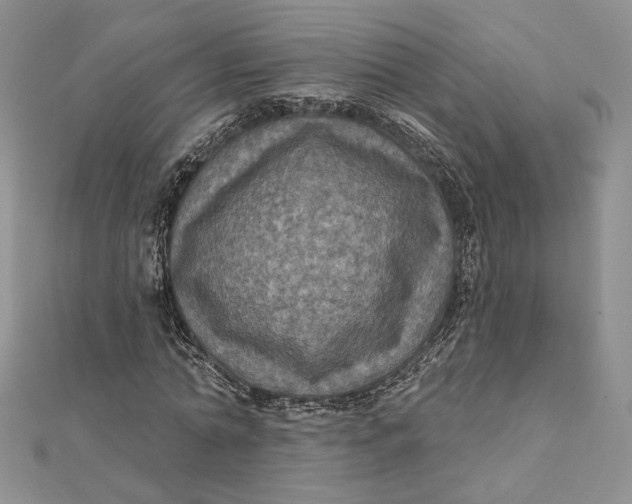 X0000112350774200909031848