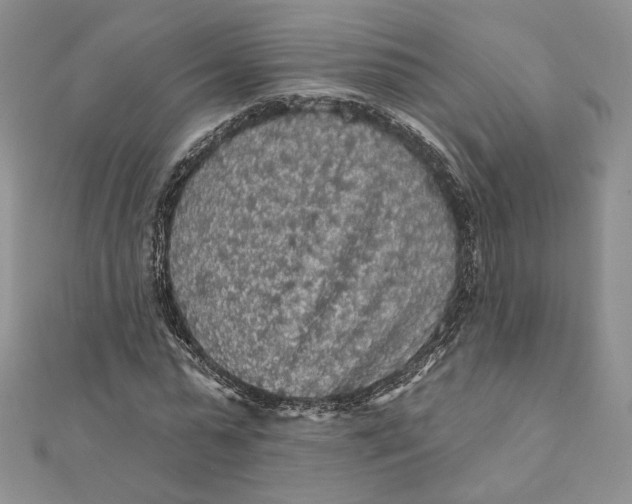 X0000112350775200909031848