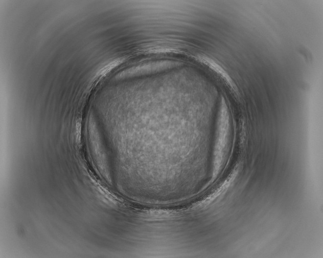 X0000112350777200909031848