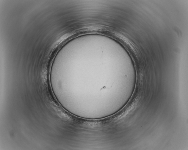 X0000112350778200909031848