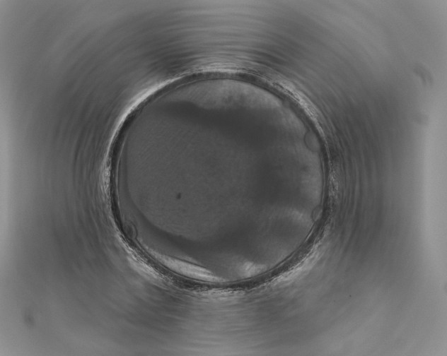 X0000112350779200909031848