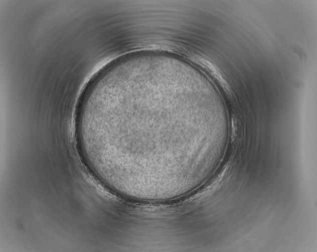 X0000112350780200909031848