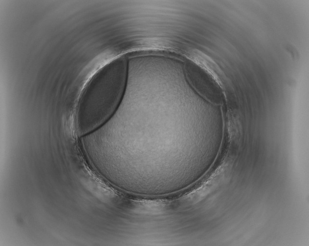 X0000112350781200909031848