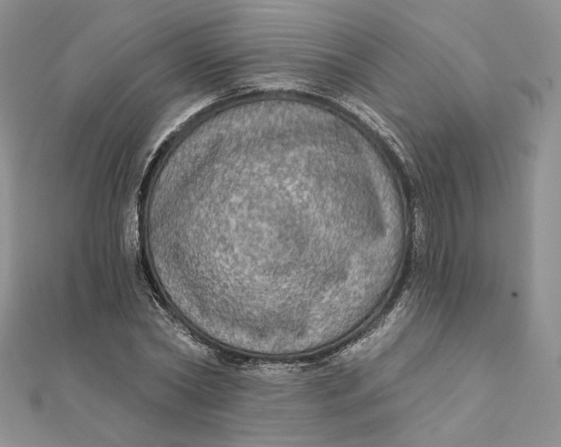 X0000112350782200909031848