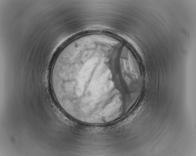 X0000112350783200909031848